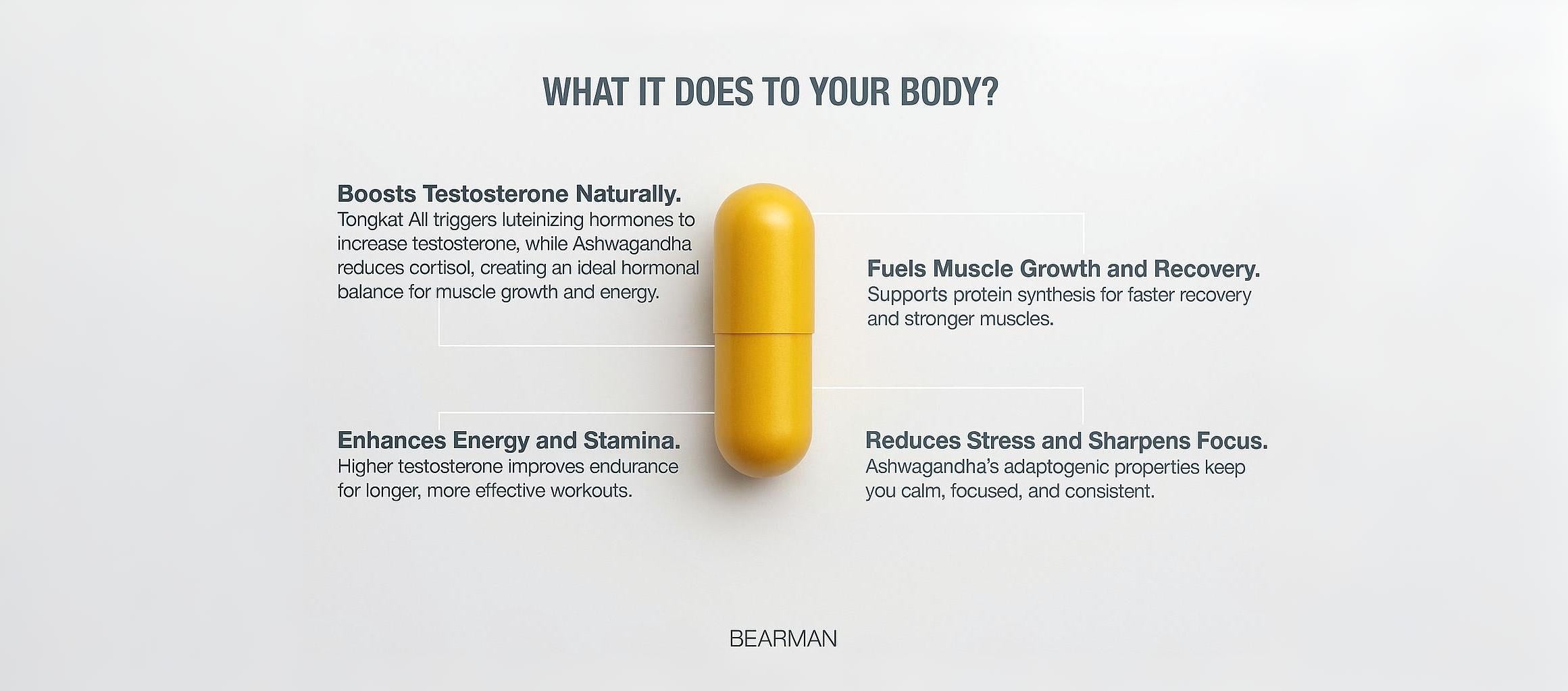 Full-width decorative image