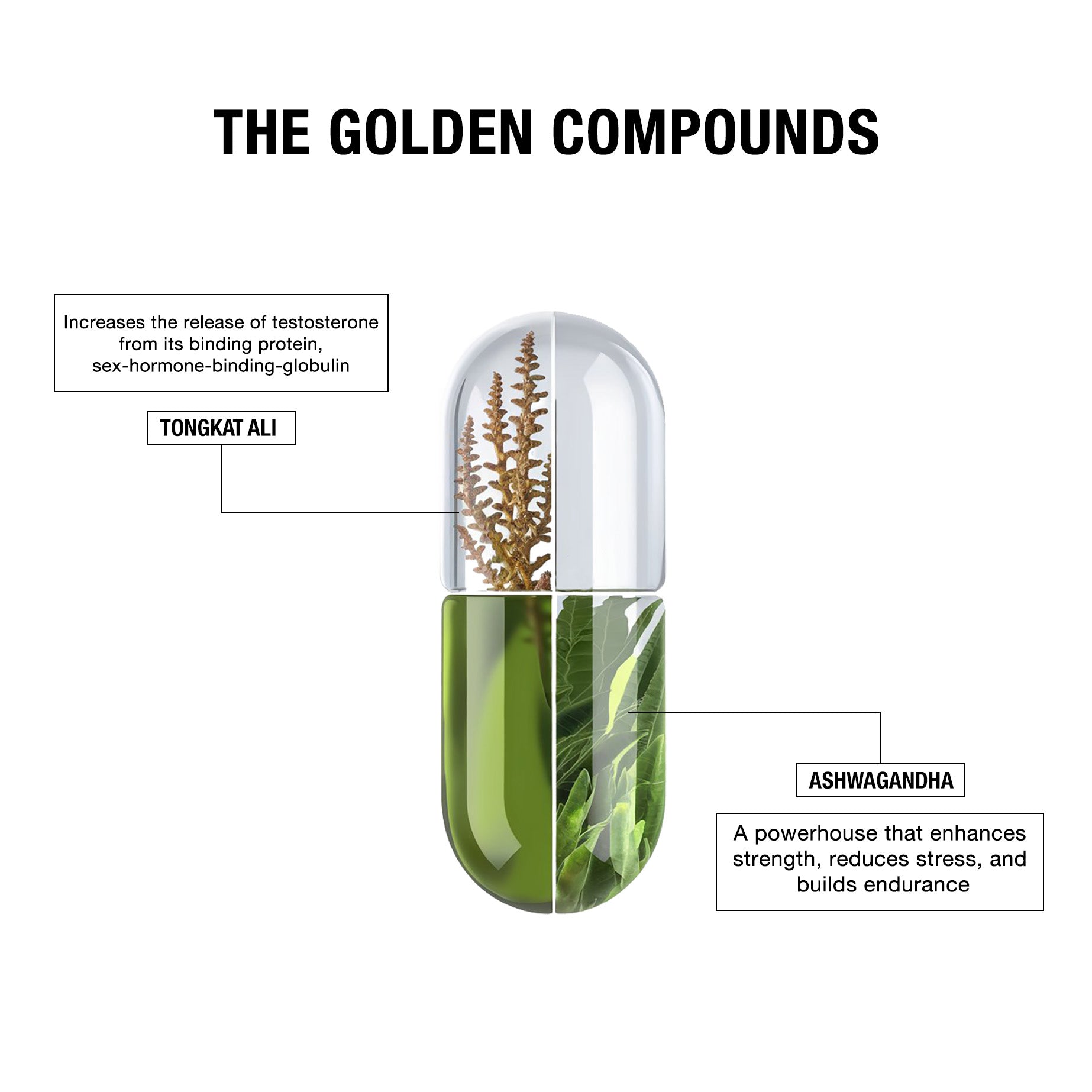 Golden Pills | Testosterone Booster - 60 Servings second image