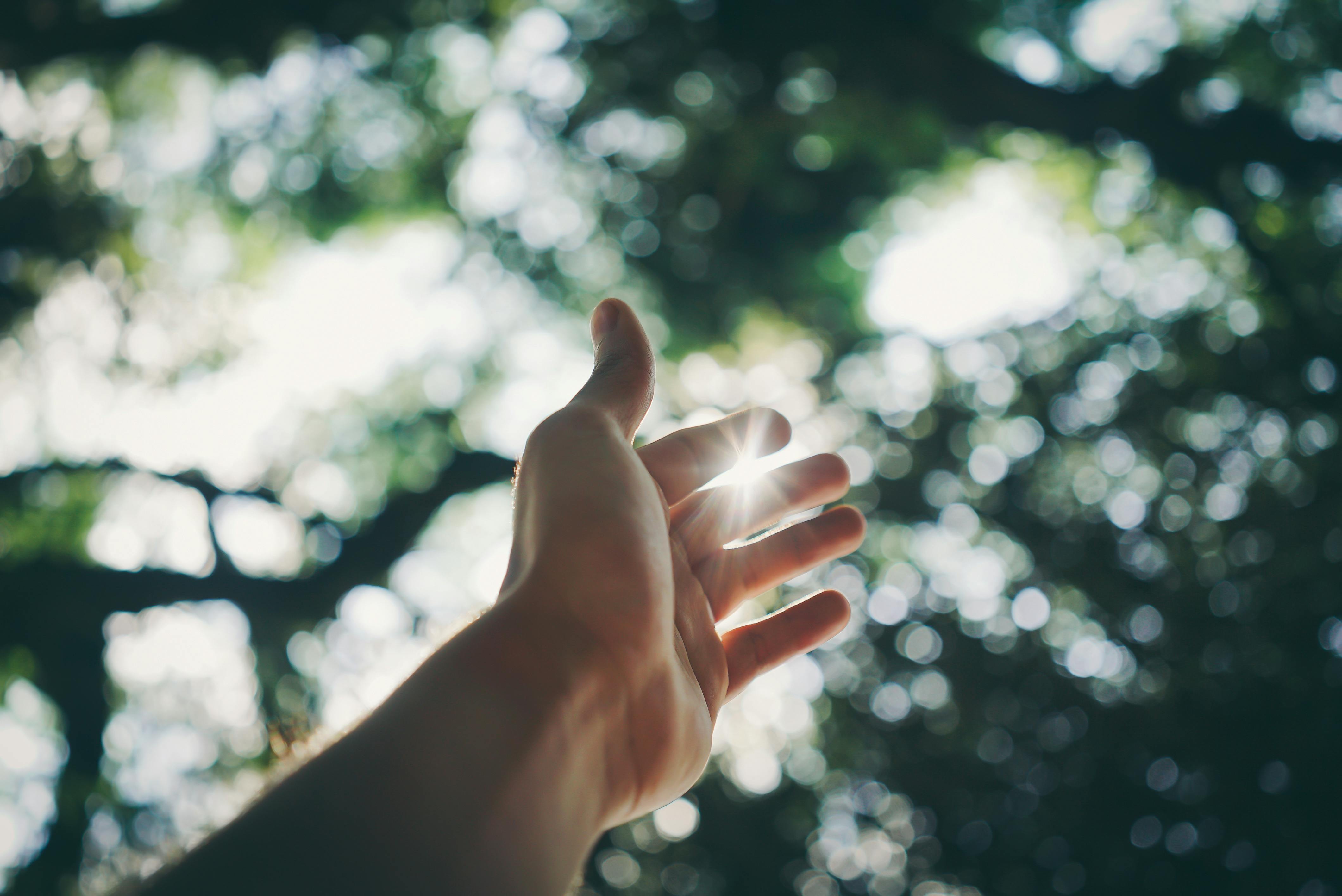 Sunlight shining on a person's hand